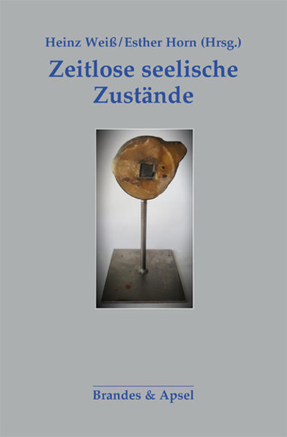 Bild zu Zeitlose seelische Zustände von Horn, Esther (Hrsg.) 