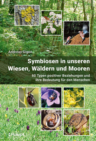 Bild zu Symbiosen in unseren Wiesen, Wäldern und Mooren von Gigon, Andreas