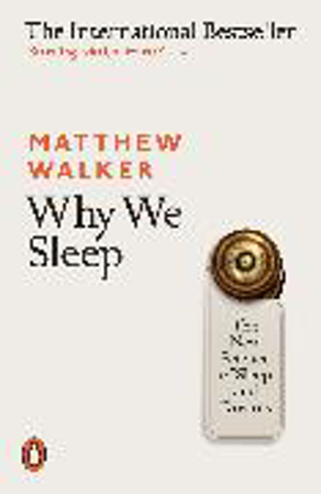 Bild zu Why We Sleep von Walker, Matthew