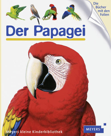 Bild zu Der Papagei