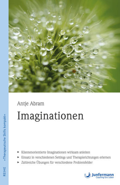 Bild zu Imaginationen (eBook) von Abram, Antje