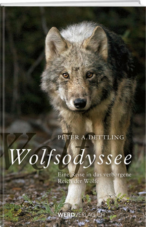 Bild zu Wolfsodyssee von Dettling, Peter A.