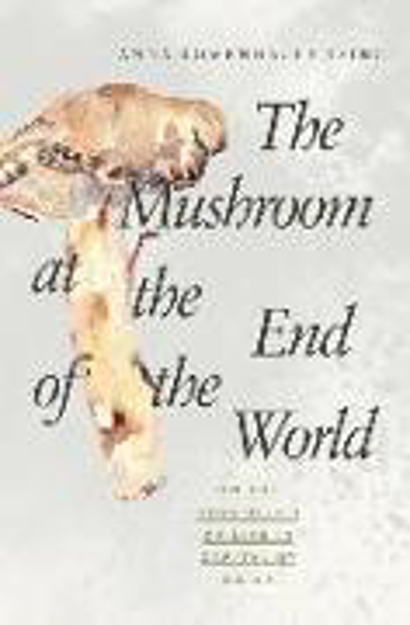 Bild zu The Mushroom at the End of the World von Tsing, Anna Lowenhaupt
