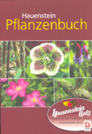 Bild zu Hauenstein Pflanzenbuch