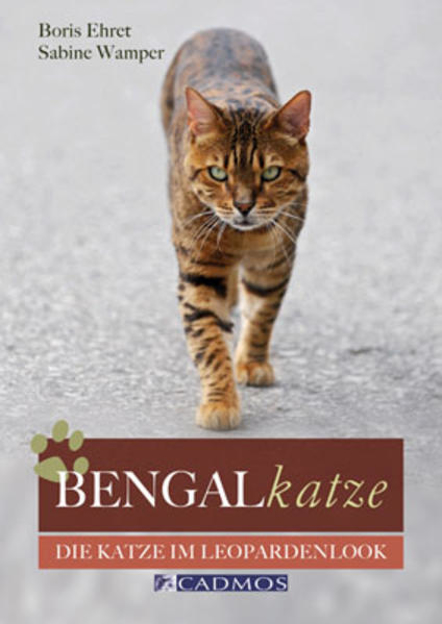 Bild zu Bengalkatze von Ehret, Boris 