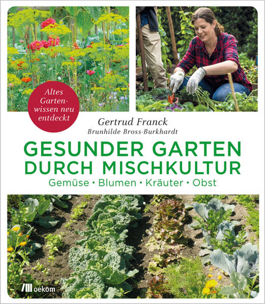 Bild zu Gesunder Garten durch Mischkultur von Franck, Gertrud 