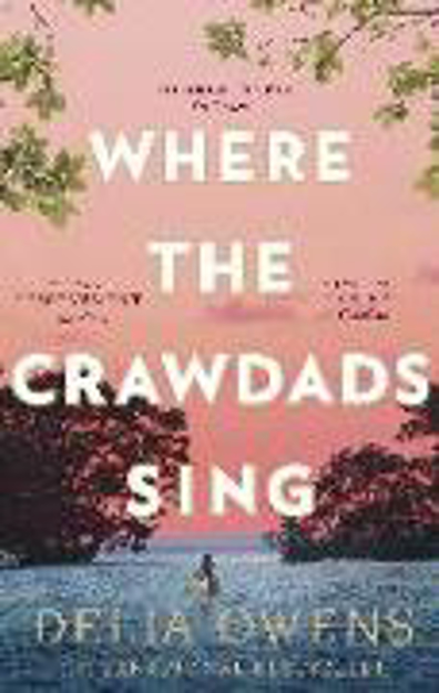 Bild zu Where the Crawdads Sing von Owens, Delia