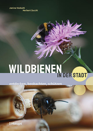 Bild zu Wildbienen in der Stadt von Voskuhl, Janina 