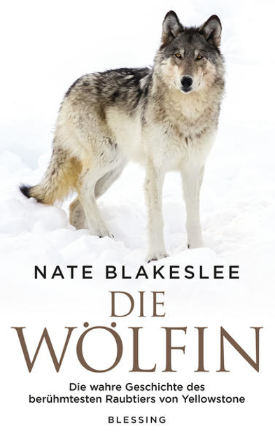 Bild zu Die Wölfin von Blakeslee, Nate 