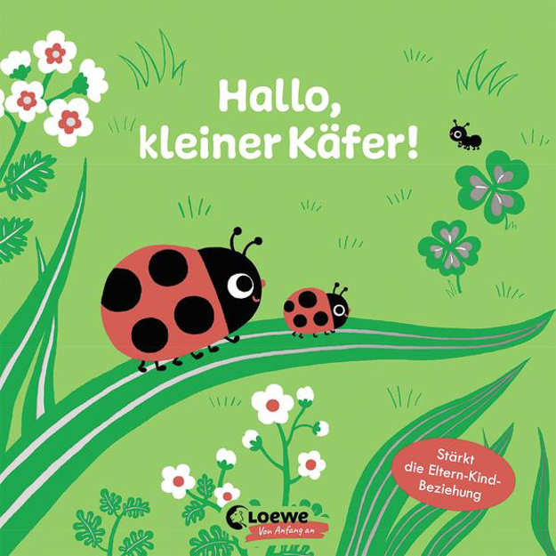 Bild zu Hallo, kleiner Käfer! von Loewe Von Anfang An (Hrsg.) 