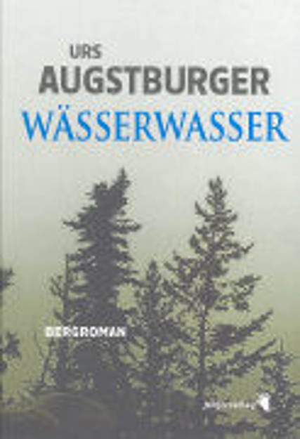 Bild zu Wässerwasser von Augstburger, Urs