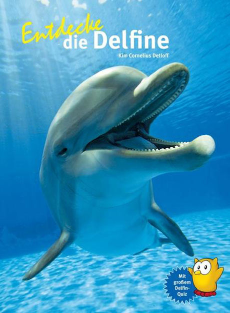 Bild zu Entdecke die Delfine von Detloff, Kim Cornelius