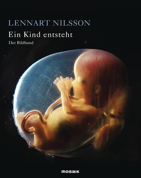 Bild zu Ein Kind entsteht - Der Bildband von Nilsson, Lennart 