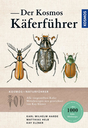 Bild zu Der Kosmos Käferführer von Helb, Matthias 