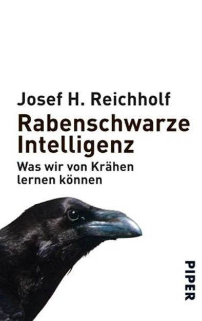 Bild zu Rabenschwarze Intelligenz von Reichholf, Josef H.