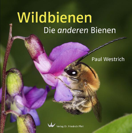 Bild zu Wildbienen von Westrich, Paul