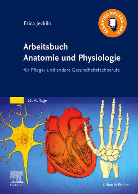 Bild zu Arbeitsbuch Anatomie und Physiologie eBook von Brühlmann-Jecklin, Erica