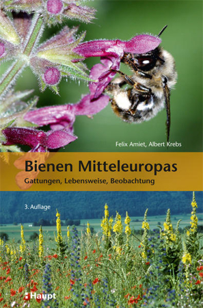 Bild zu Bienen Mitteleuropas von Amiet, Felix 