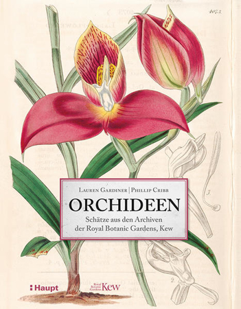 Bild zu Orchideen von Gardiner, Lauren 