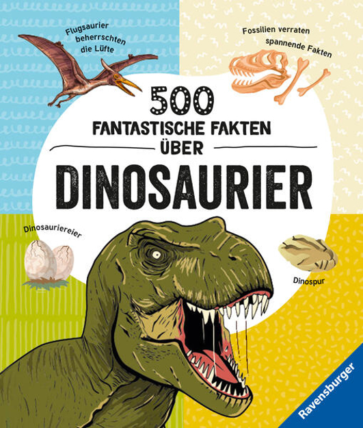 Bild zu 500 fantastische Fakten über Dinosaurier - Ein spannendes Dinosaurierbuch für Kinder ab 6 Jahren voller Dino-Wissen von Rooney, Anne 