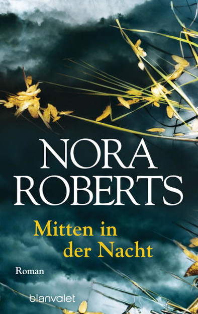 Bild zu Mitten in der Nacht von Roberts, Nora 