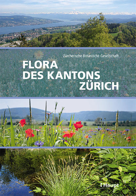 Bild zu Flora des Kantons Zürich von Zürcherische Botanische Gesellschaft (Hrsg.)