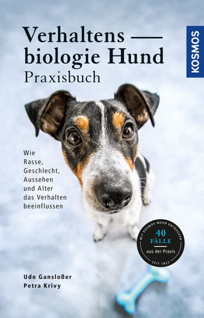 Bild zu Verhaltensbiologie Hund - Praxisbuch von Gansloßer, Udo 
