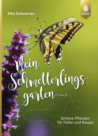 Bild zu Mein Schmetterlingsgarten von Schwarzer, Elke