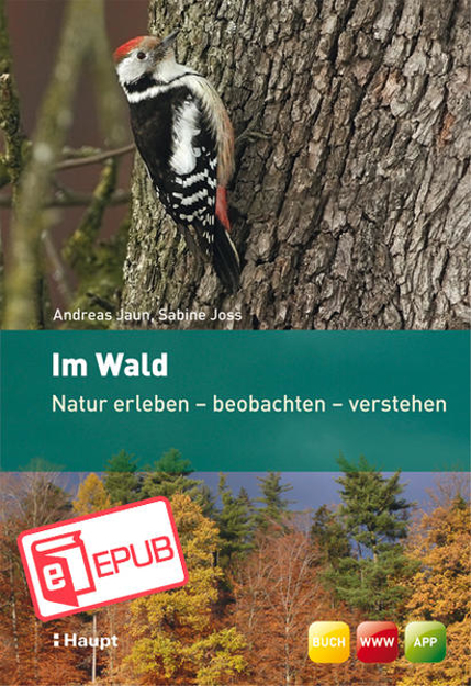 Bild zu Im Wald (eBook) von Jaun, Andreas 