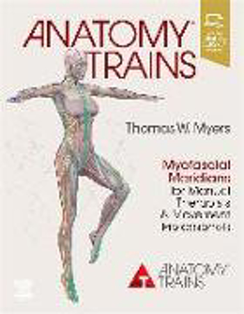 Bild zu Anatomy Trains von Myers, Thomas W.