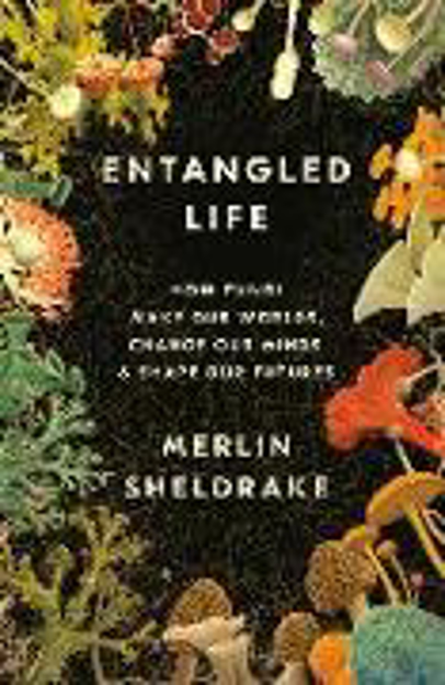Bild zu Entangled Life: How Fungi Make Our Worlds, Change Our Minds & Shape Our Futures von Sheldrake, Merlin