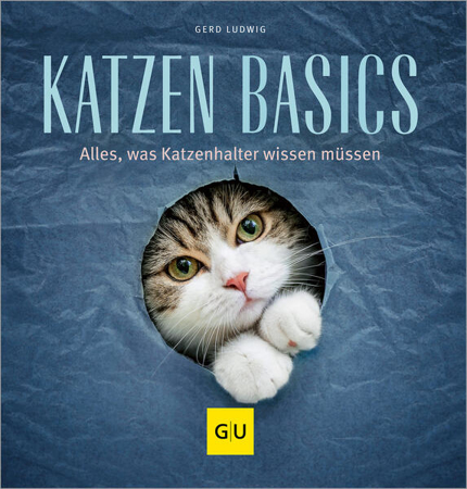 Bild zu Katzen-Basics von Ludwig, Gerd