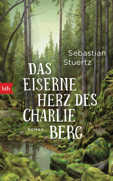 Bild zu Das eiserne Herz des Charlie Berg von Stuertz, Sebastian