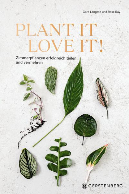 Bild zu Plant it - love it! von Langton, Caro 
