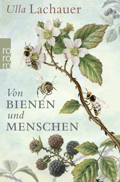 Bild zu Von Bienen und Menschen von Lachauer, Ulla
