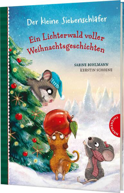 Bild zu Der kleine Siebenschläfer: Ein Lichterwald voller Weihnachtsgeschichten von Bohlmann, Sabine 
