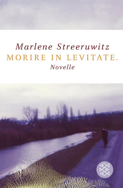 Bild zu Morire in levitate von Streeruwitz, Marlene