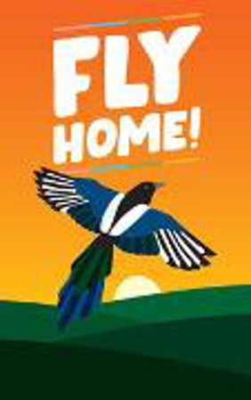 Bild zu Fly Home! von Girodon, Chloé 