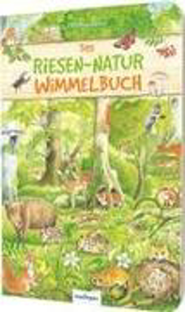 Bild zu Riesen-Wimmelbuch: Das Riesen-Natur-Wimmelbuch von Henkel, Christine (Illustr.)
