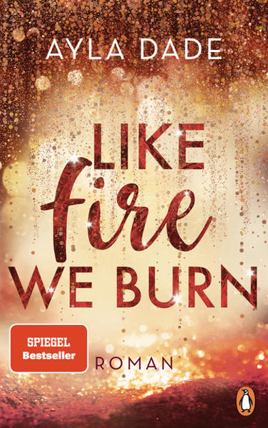 Bild zu Like Fire We Burn von Dade, Ayla