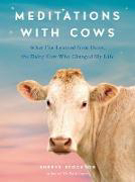 Bild zu Meditations with Cows von Stockton, Shreve