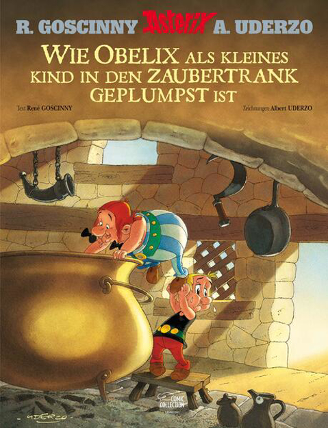 Bild zu Wie Obelix als kleines Kind in den Zaubertrank geplumpst ist von Goscinny, René 