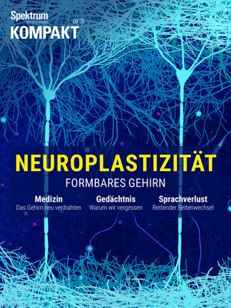 Bild zu Spektrum Kompakt - Neuroplastizität (eBook) von Verlagsgesellschaft, Spektrum der Wissenschaft