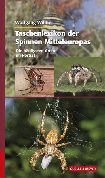 Bild zu Taschenlexikon der Spinnen Mitteleuropas von Willner, Wolfgang