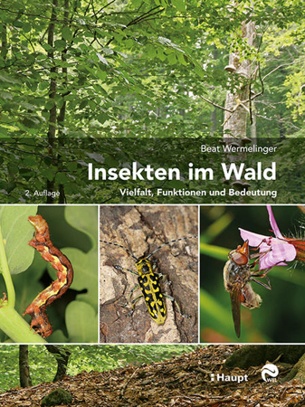 Bild zu Insekten im Wald von Wermelinger, Beat