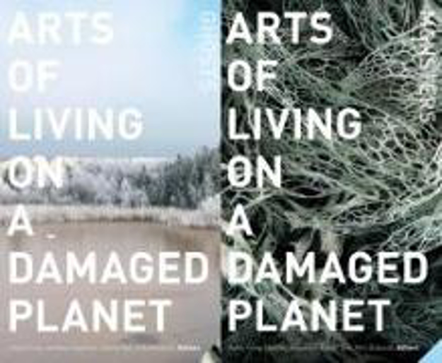 Bild zu Arts of Living on a Damaged Planet von Tsing, Anna Lowenhaupt (Hrsg.) 