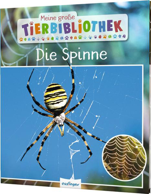 Bild zu Meine große Tierbibliothek: Die Spinne von Poschadel, Dr. Jens