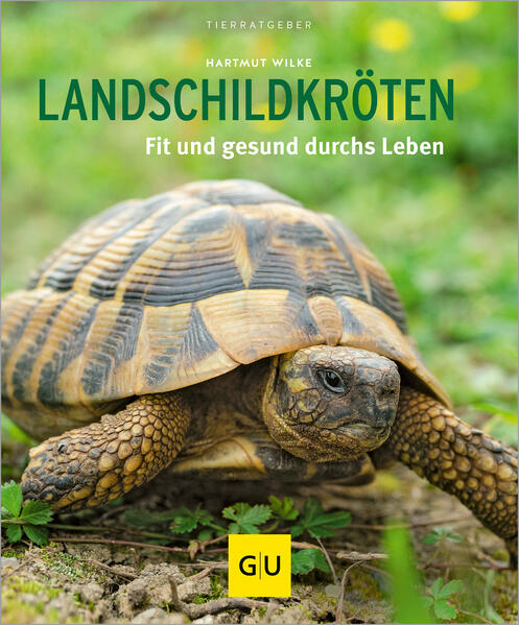 Bild zu Landschildkröten von Wilke, Hartmut
