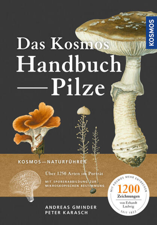 Bild zu Das Kosmos-Handbuch Pilze von Gminder, Andreas 