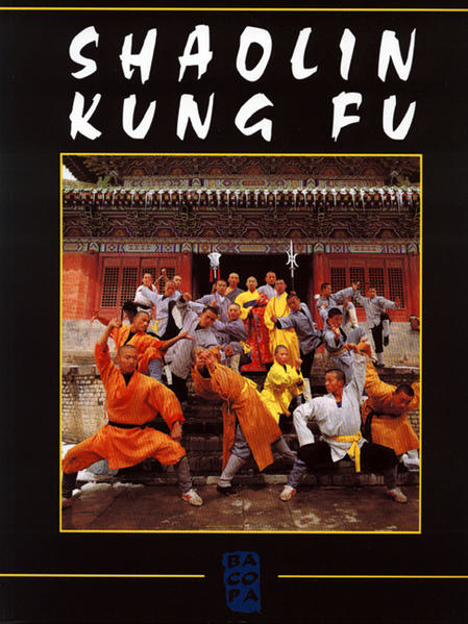 Bild zu Shaolin Kung Fu - Bildband von Fehlinger, Walter (Hrsg.) 